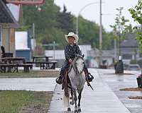 trail-riding-pony