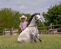 youth-pony