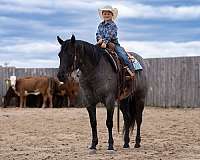 trail-riding-quarter-horse