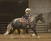 trail-riding-draft-horse