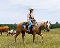 ranch-quarter-horse