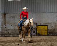 roping-quarter-horse