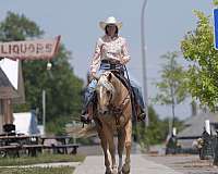trail-riding-quarter-horse
