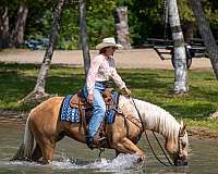 ranch-versatility-quarter-horse