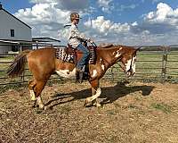 kid-safe-paint-horse