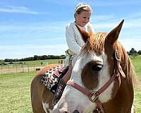 ranch-versatility-paint-horse