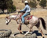 kid-safe-paint-horse