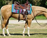 calf-roping-paint-horse