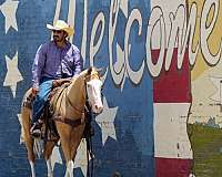 kid-safe-paint-horse