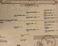 gymkhana-quarter-horse