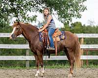 red-roan-blaze-pony