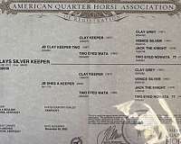 grey-quarter-horse-mare