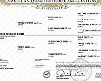 breeding-quarter-horse