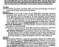 racing-thoroughbred-horse
