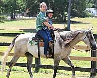 flashy-quarter-horse