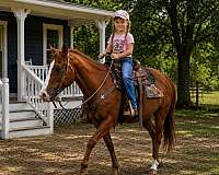 safe-riding-horse-quarter