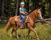 gentle-horse-quarter