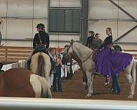 roan-patch-on-face