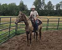 husband-safe-quarter-horse