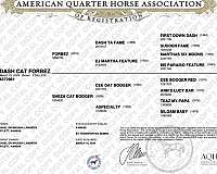 cee-booger-red-gelding