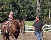 treasured-gelding