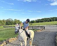 warrenton-horse