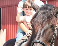 kid-safe-draft-horse