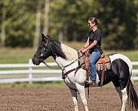 kids-horse-tennessee-walking