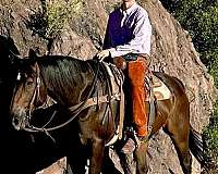 flashy-quarter-horse