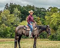 right-hind-white-coronethoof-horse