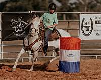 barrel-racing-half-arabian-pony