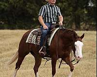 field-tr-mare