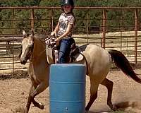 jumping-quarter-pony
