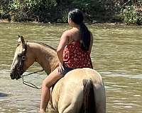 ridden-western-quarter-pony