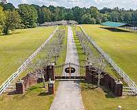 6-bedroom-equine-properties-in-wilsonville-al