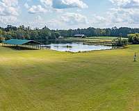 equine-properties-for-sale-in-wilsonville-al