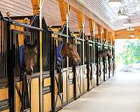 equine-horse-property-in-west-milford-nj