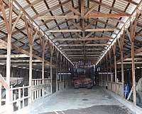 3-bedroom-equine-horse-property