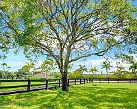 4-bedroom-equine-acreage-with-home