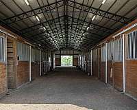 equine-horse-property-in-alabama