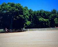 equine-properties-for-sale-in-union-bridge-md