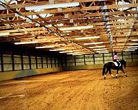 6-bedroom-equine-properties-in-union-bridge-md