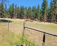 equine-properties-for-sale-in-hamilton-mt