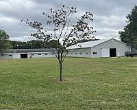 equine-horse-property-in-colts-neck-nj