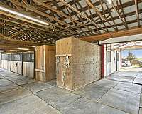 equine-horse-property