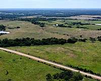 4-bedroom-equine-pasture-land