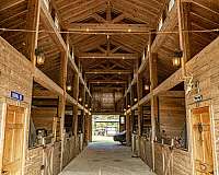 equine-properties-for-sale-in-tifton-ga