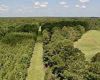 4-bedroom-equine-horse-property