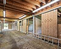 equine-properties-for-sale-in-gerrardstown-wv