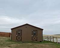 equine-horse-property